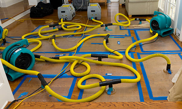Professional Crawl Space Water Removal technician working in Bandera, TX